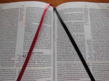 tbs and nkjv study bible 060
