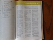thomas nelson nkkv study bible hard cover 035