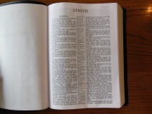 three bibles 164