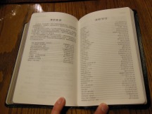 chinese new testament and greek book with workbook holman 024