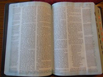Holman woman's hcsb study bible 047